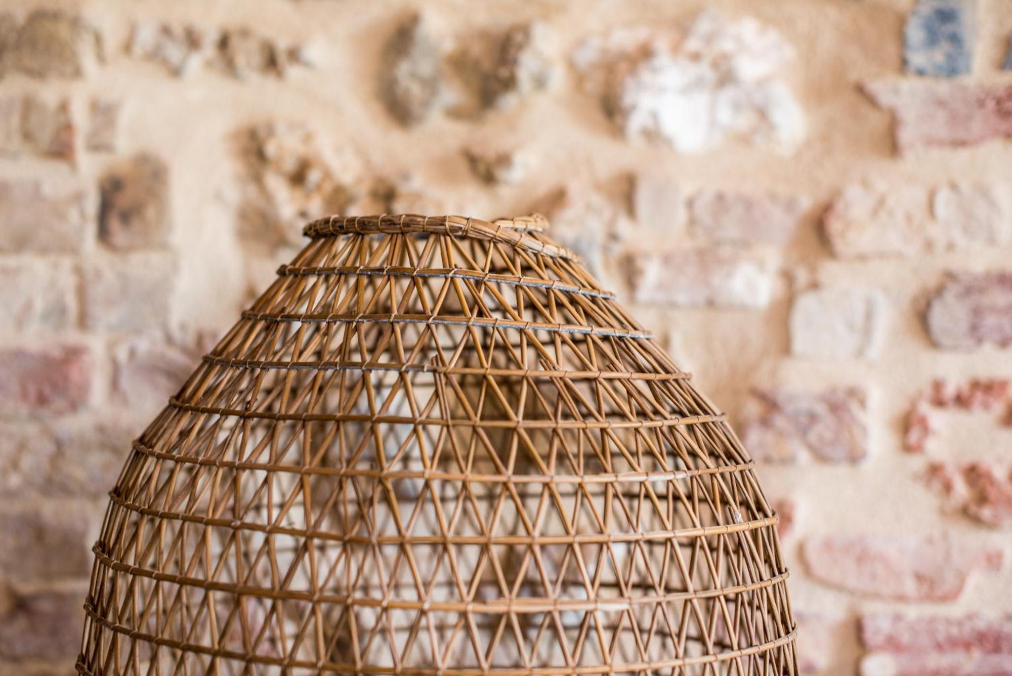 Agriturismo Casalino18 Tognazza Ngoại thất bức ảnh